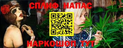 герыч Моздок