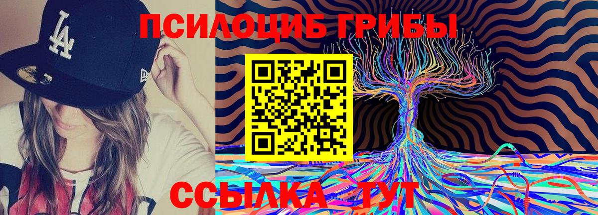 Псилоцибиновые грибы MAGIC MUSHROOMS  Вход с VPN  Галлюциногенные грибы MAGIC MUSHROOMS  Чебаркуль 